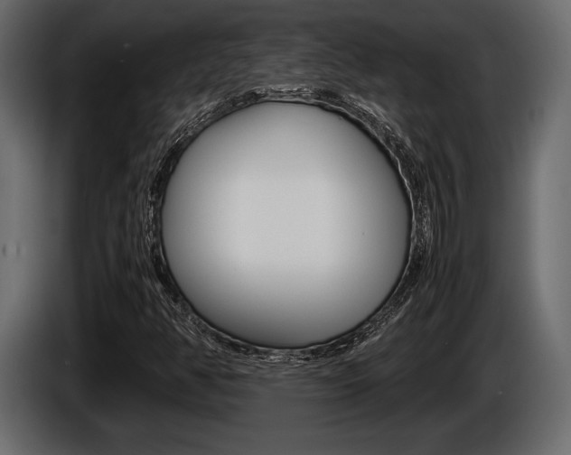 X0000086721350200704130720
