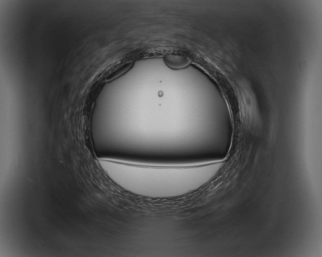 X0000086721351200704130720