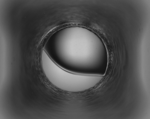 X0000086721352200704130720