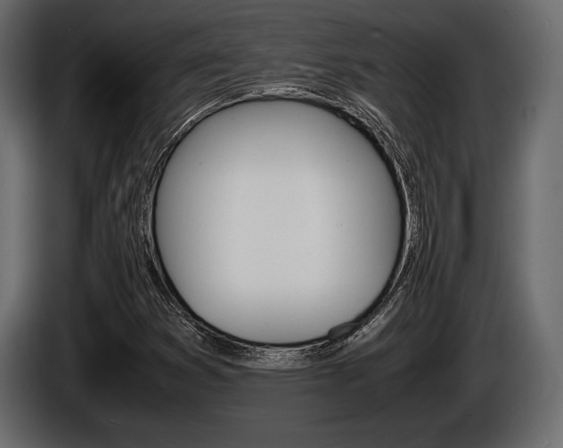 X0000086721353200704130720
