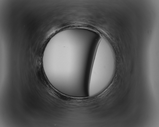 X0000086721355200704130720