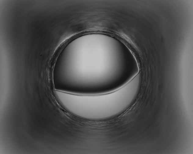 X0000086721356200704130720