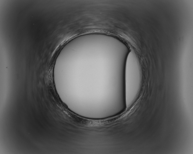 X0000086721357200704130720