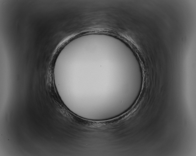 X0000086721358200704130720