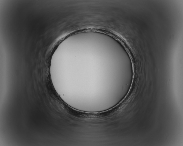 X0000086721359200704130720