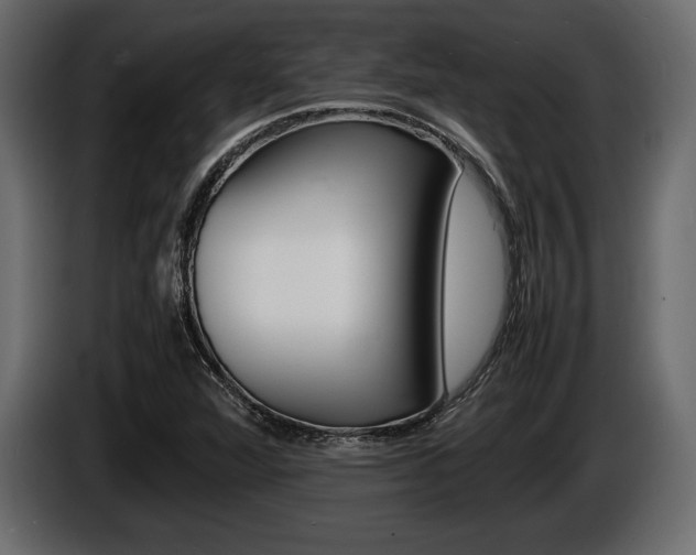 X0000086721360200704130720