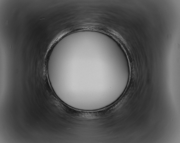 X0000086721362200704130720