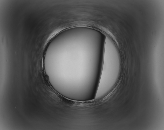 X0000086721365200704130720