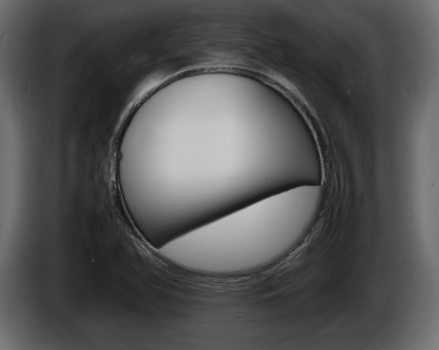 X0000086721366200704130720
