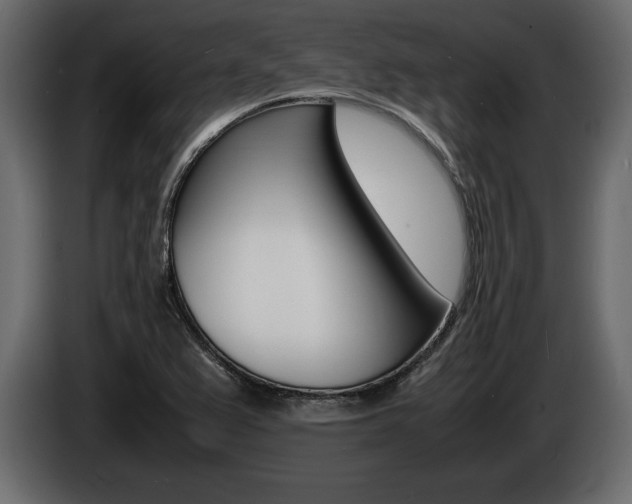 X0000086721367200704130720