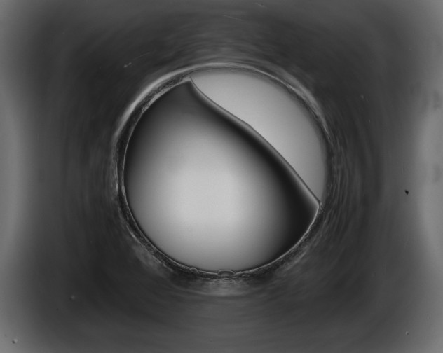 X0000086721368200704130720