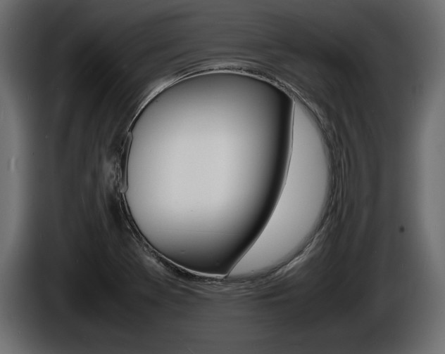 X0000086721369200704130720