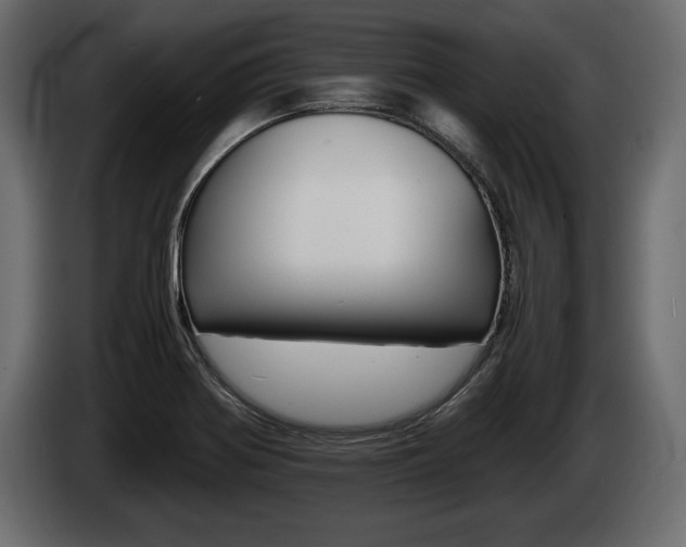 X0000086721370200704130720