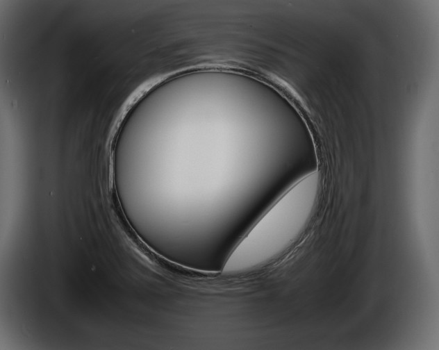 X0000086721371200704130720