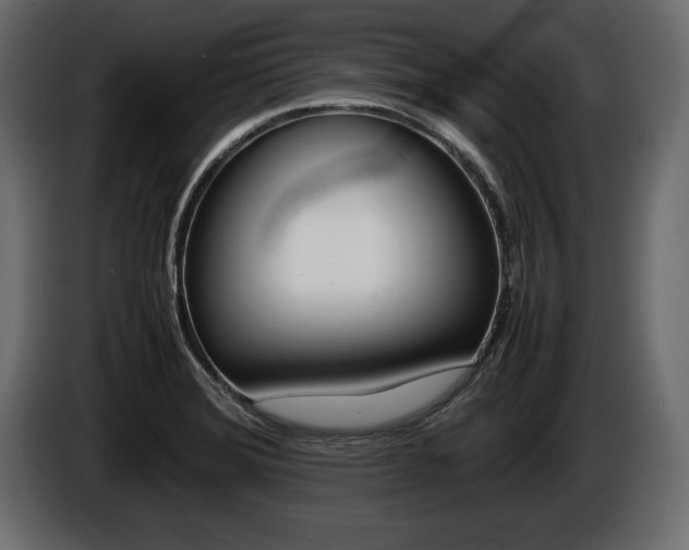 X0000086721372200704130720