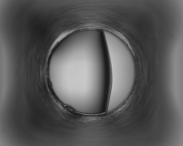 X0000086721373200704130720