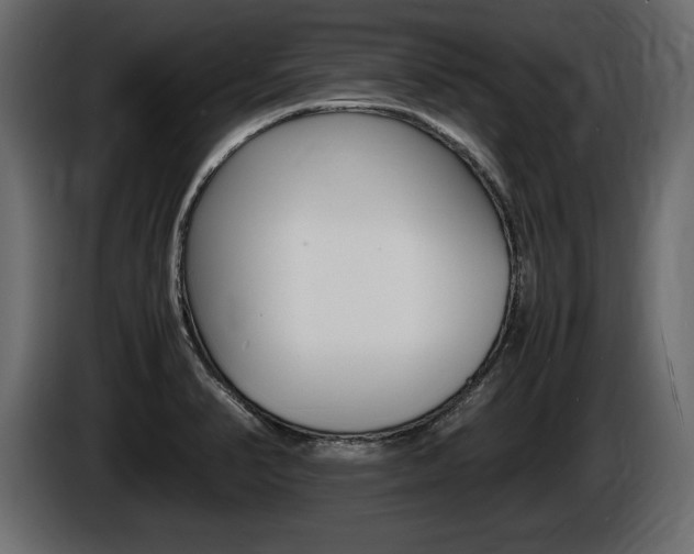 X0000086721374200704130720