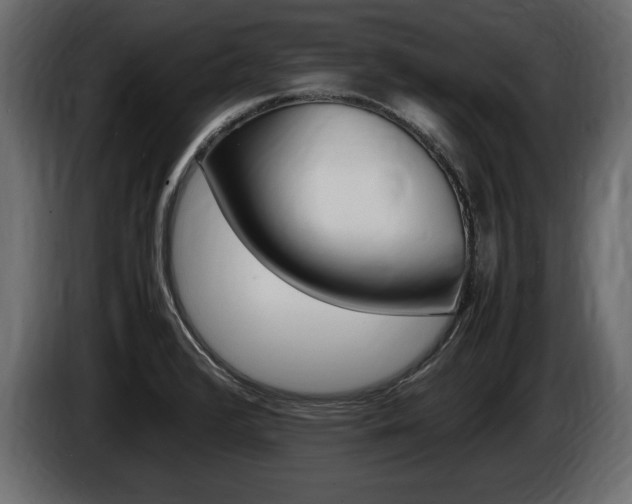 X0000086721376200704130720