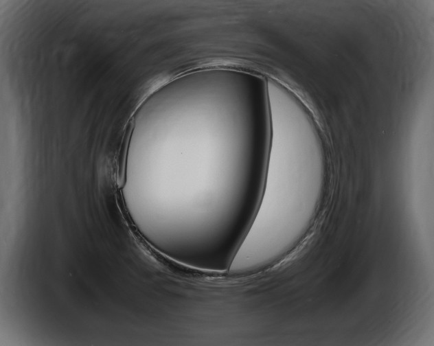 X0000086721377200704130720