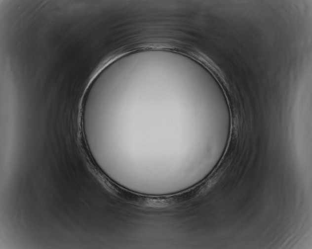 X0000086721378200704130720