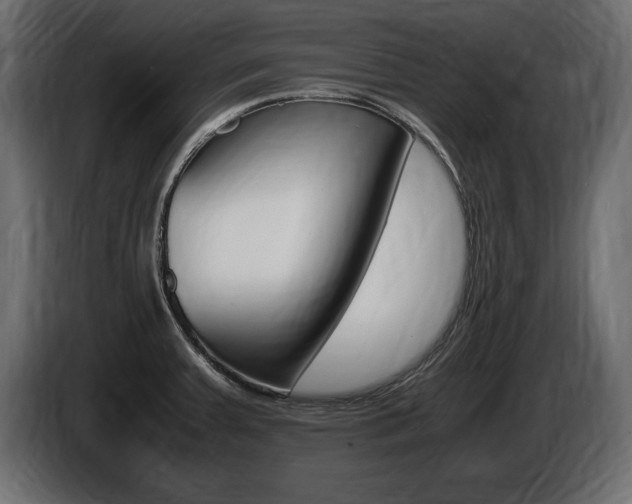 X0000086721379200704130720
