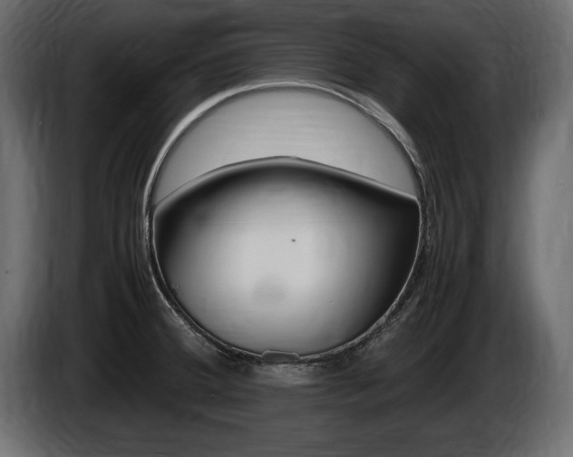 X0000086721380200704130720
