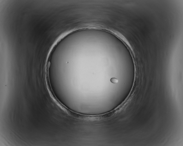 X0000086721381200704130720
