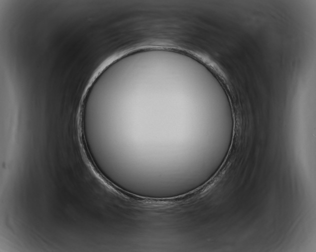 X0000086721382200704130720