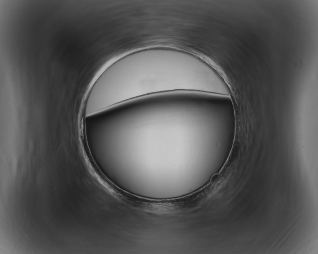 X0000086721383200704130720