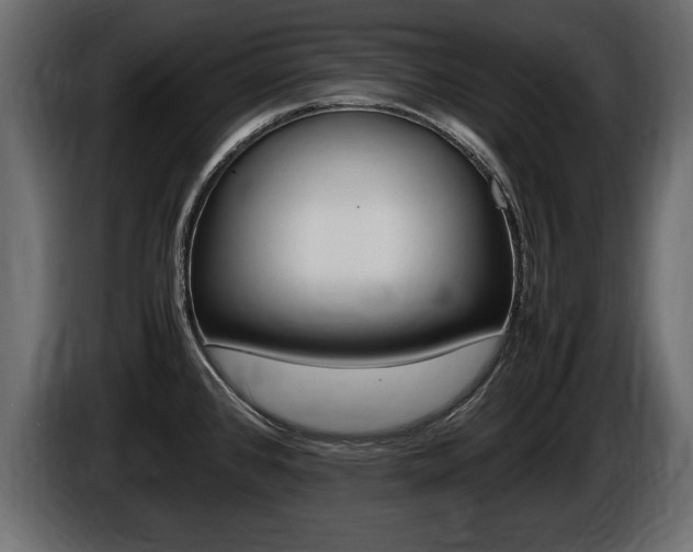 X0000086721384200704130720