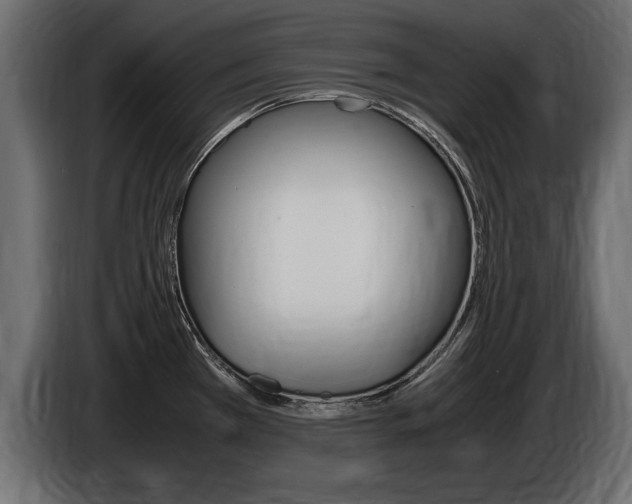 X0000086721385200704130720