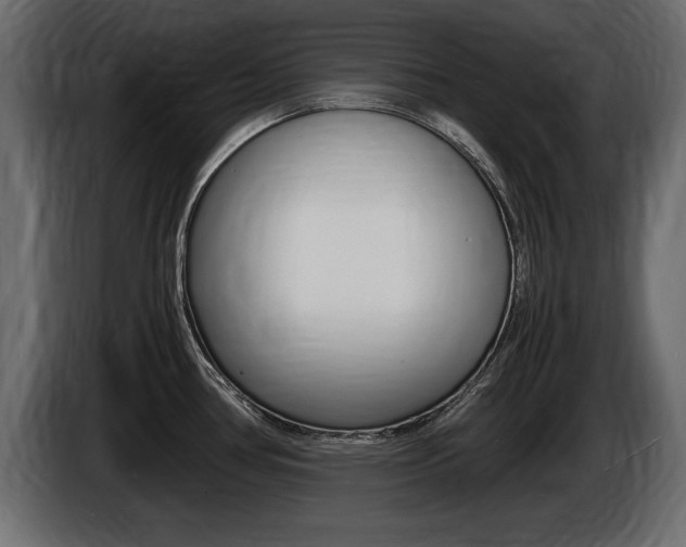 X0000086721386200704130720