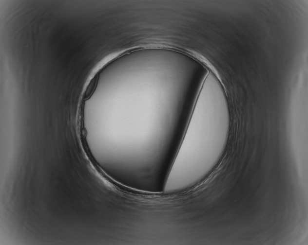 X0000086721387200704130720