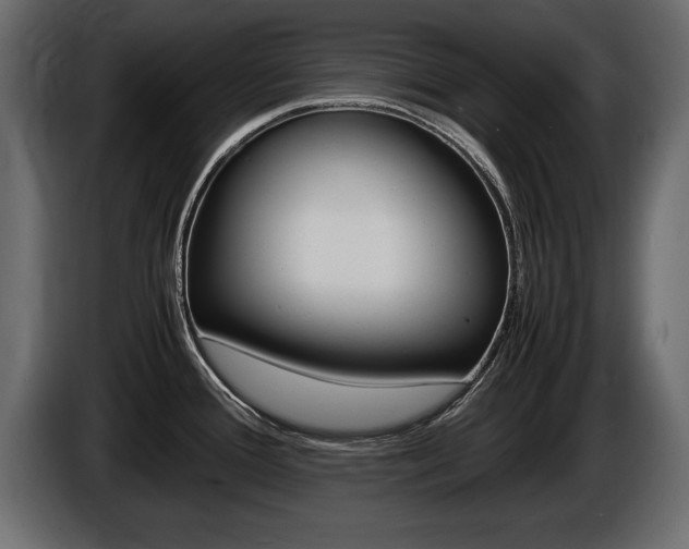 X0000086721388200704130720
