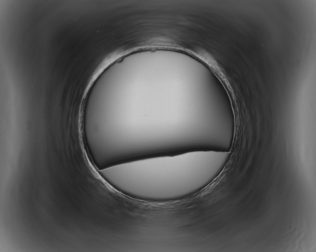 X0000086721390200704130720