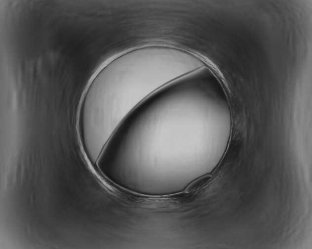 X0000086721391200704130720