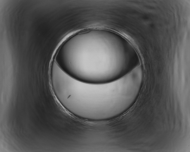 X0000086721392200704130720