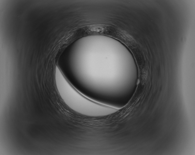 X0000086721394200704130719