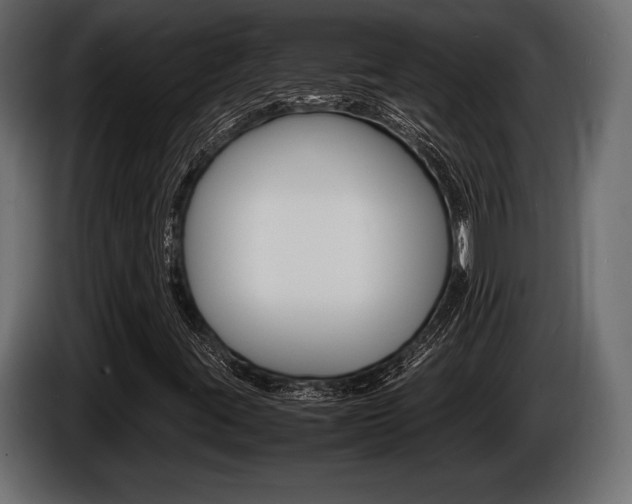 X0000086721395200704130719