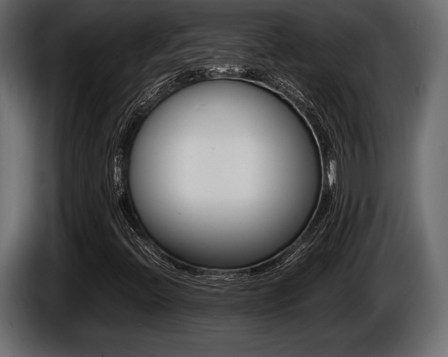 X0000086721396200704130719