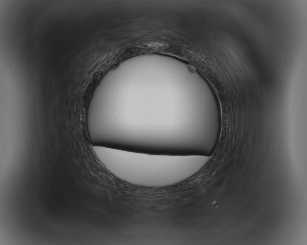 X0000086721397200704130719
