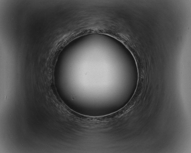 X0000086721398200704130719
