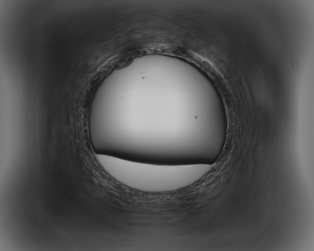 X0000086721399200704130719