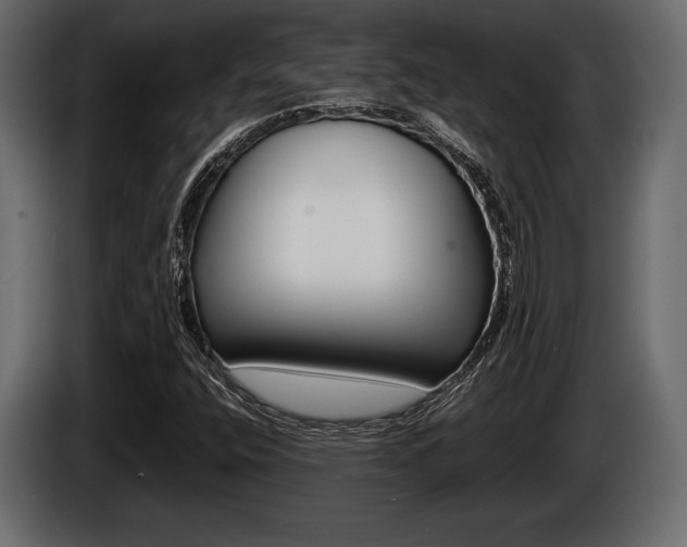 X0000086721400200704130719