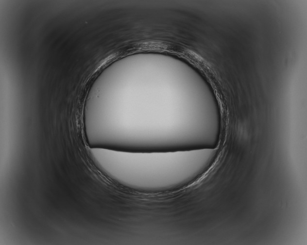 X0000086721401200704130719