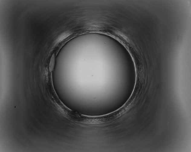 X0000086721402200704130719