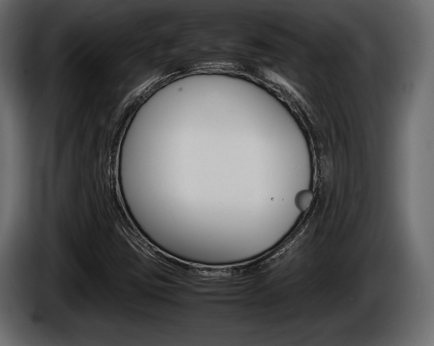 X0000086721403200704130719