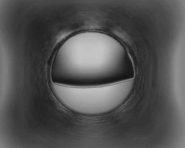 X0000086721404200704130719
