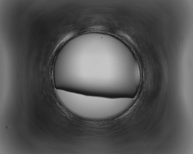 X0000086721405200704130719