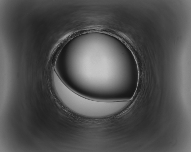 X0000086721406200704130719